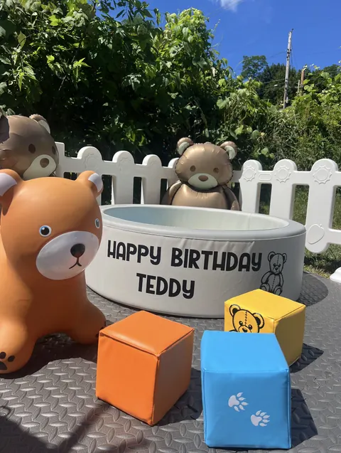 Teddy bear themed setup with a personalized Happy Birthday Teddy ball pit